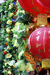 Red lantern and green leaves - Copyright (C) 2008 Yves Roumazeilles